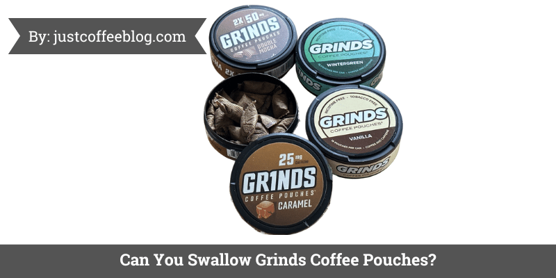can you swallow grinds coffee pouches